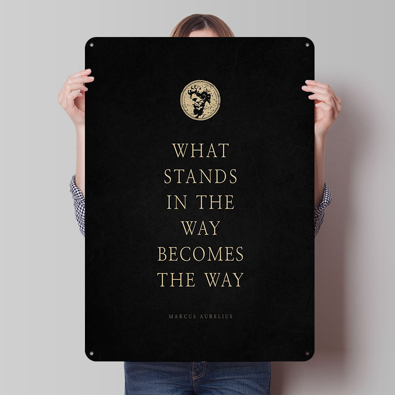 Marcus Aurelius Quote Tinplate - Retro Gaming Quotes 评论和价格